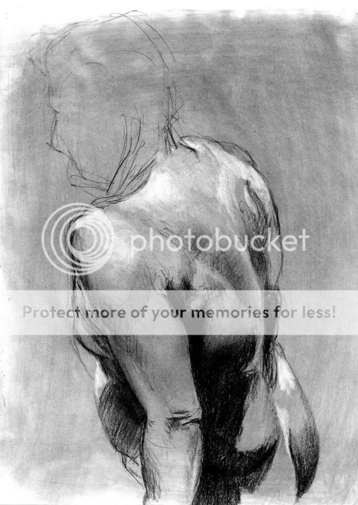  <(" <) Matt Buck's sketchbook <(" <) Matt Buck's sketchbook