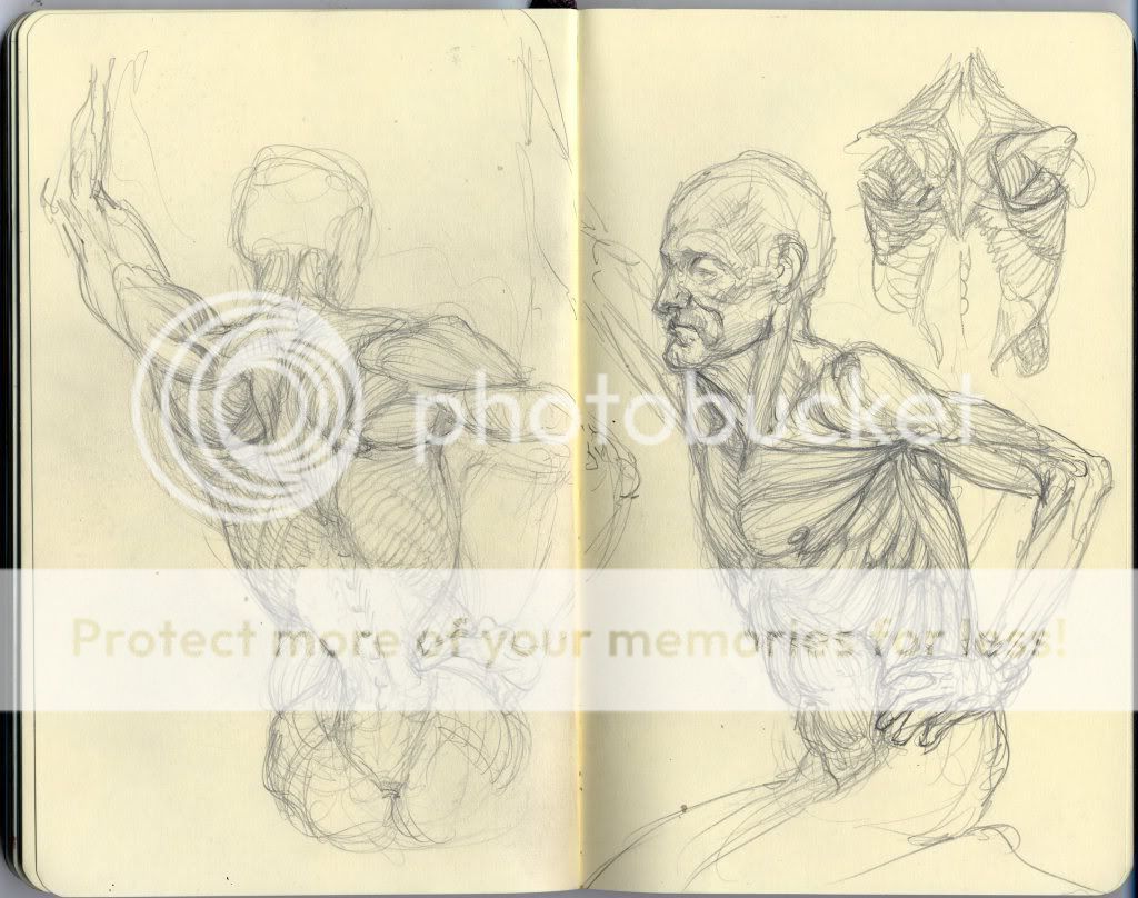  <(" <) Matt Buck's sketchbook <(" <) Matt Buck's sketchbook