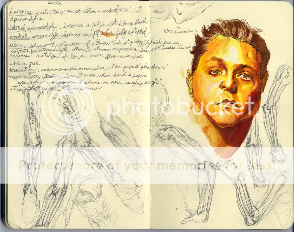  <(" <) Matt Buck's sketchbook <(" <) Matt Buck's sketchbook