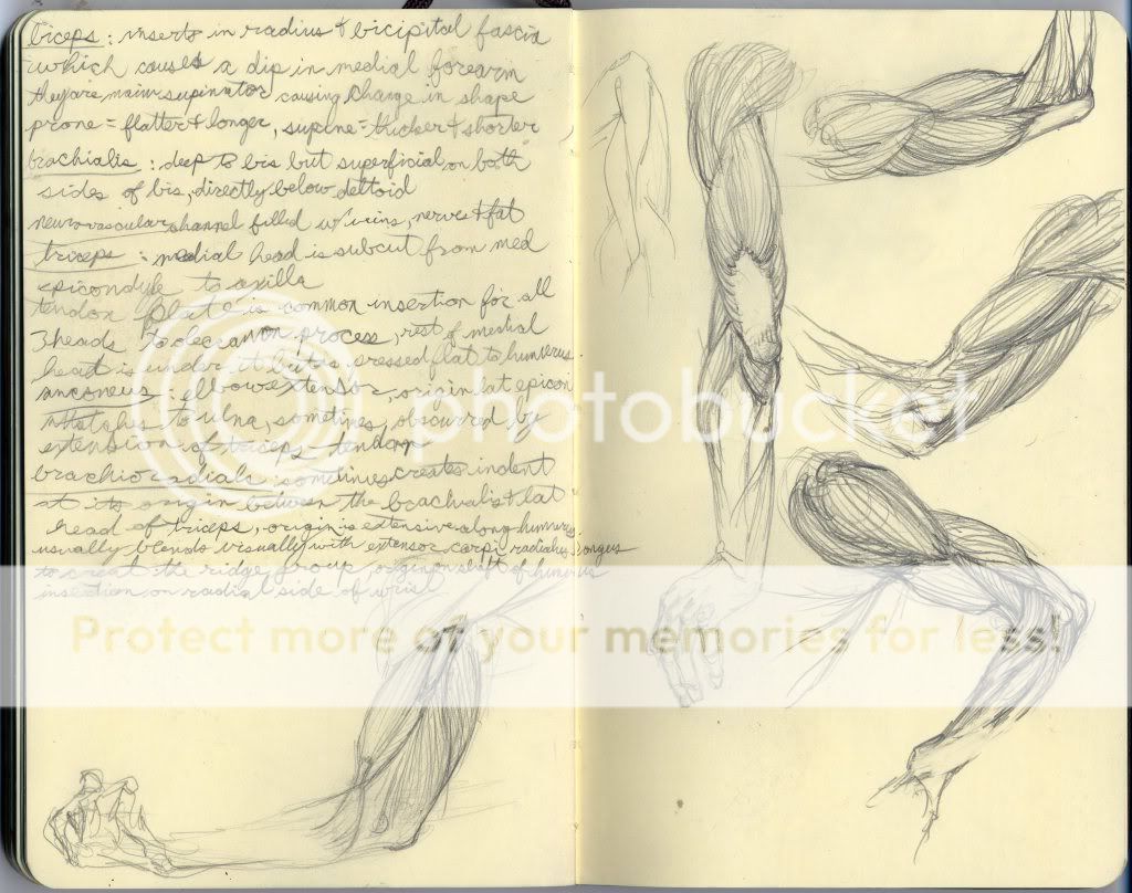 <(" <) Matt Buck's sketchbook <(" <) Matt Buck's sketchbook
