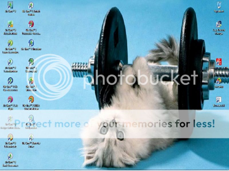 DesktopBild_zpsec4a1ecd.jpg