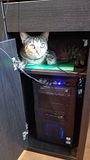 th_IMG_20161008_131033_zpsbd0nmaqc.jpg