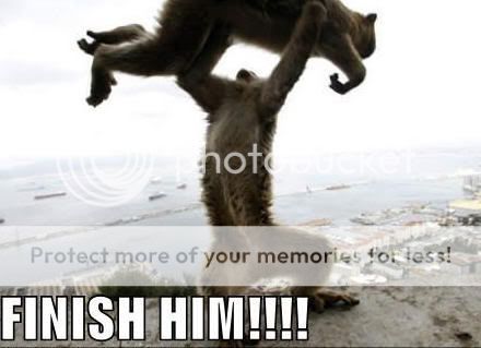 lolcats-finish-him.jpg