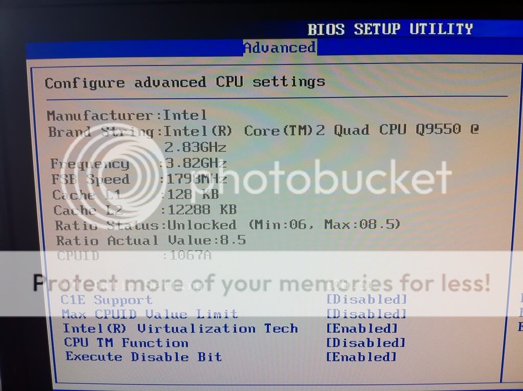 bios4.jpg