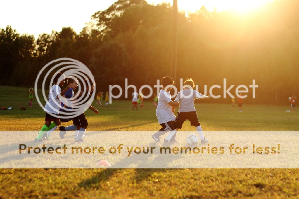 IMAGE: http://i427.photobucket.com/albums/pp357/CobraVert97/Bulletin%20Board%20Postings/2012-09-13_18-33-34.jpg