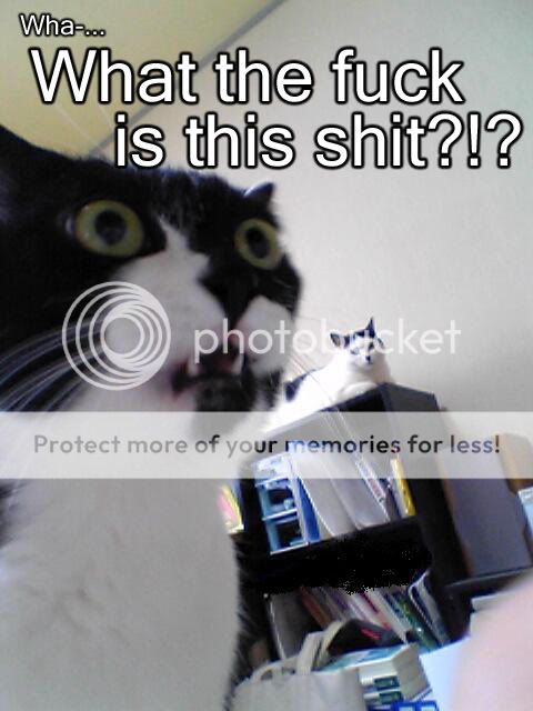 Forum Image: http://i427.photobucket.com/albums/pp357/fuzzy919177/wtf_shit_cat.jpg