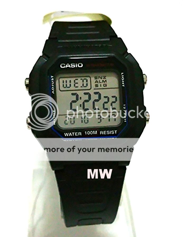 casio w800h