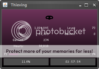 thieving-int_zpsdw0nri6y.png